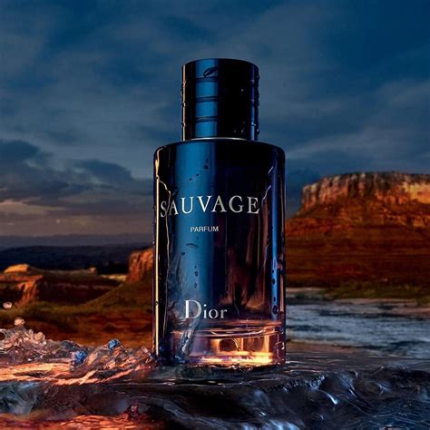 dior sauavge parfum|dior sauvage cheapest price.